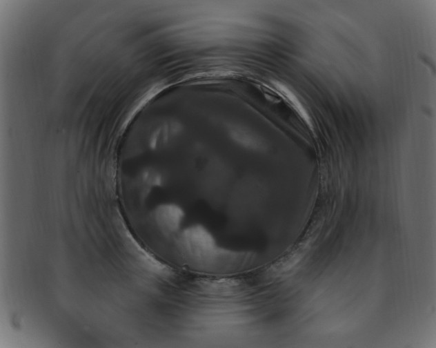 X0000091730851200709071459