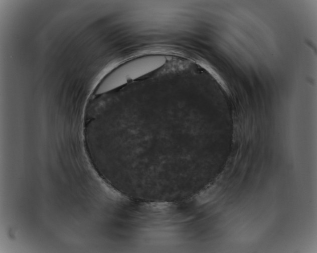 X0000091730853200709071459