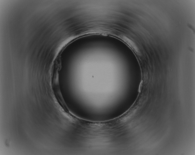 X0000091730854200709071459