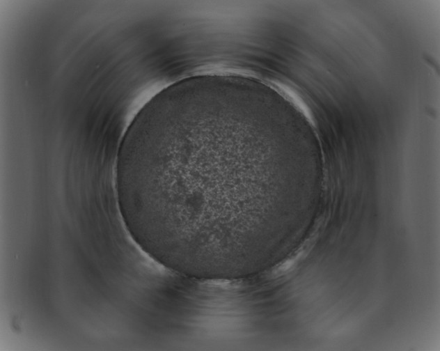 X0000091730855200709071459