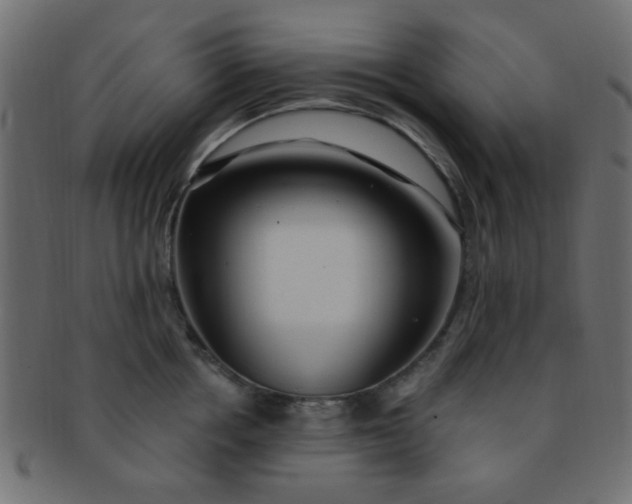 X0000091730858200709071459