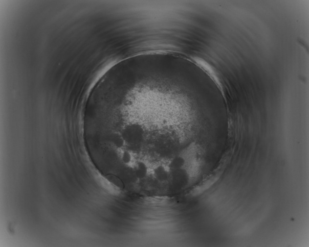 X0000091730859200709071459