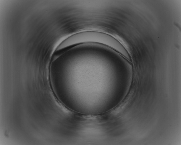 X0000091730862200709071459