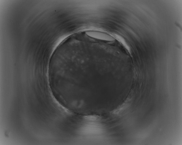 X0000091730863200709071459