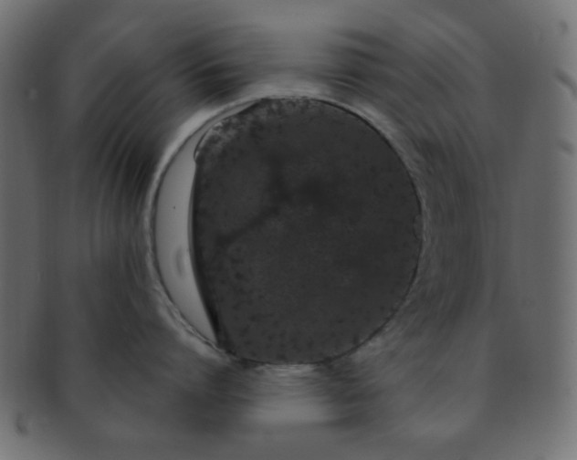 X0000091730864200709071459