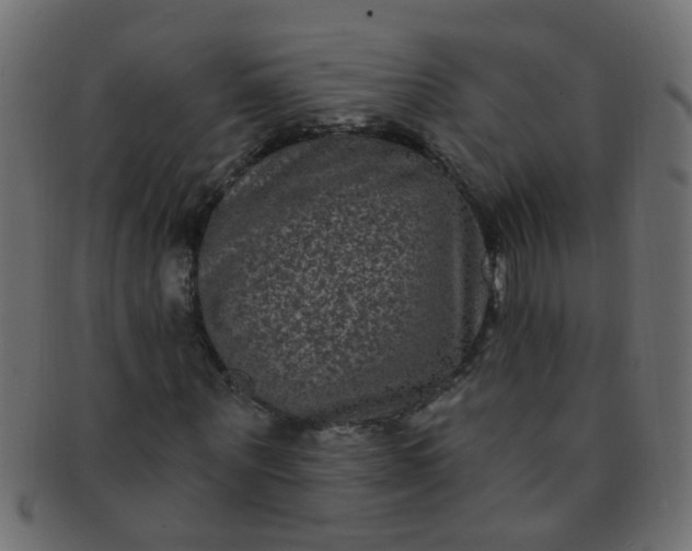 X0000091730867200709071458