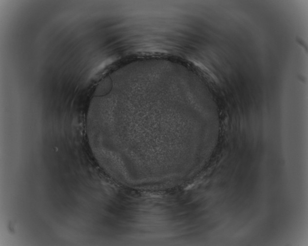 X0000091730870200709071458