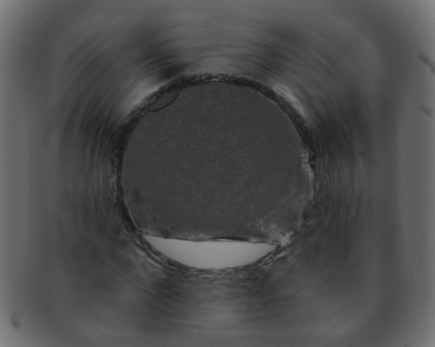 X0000091730872200709071458