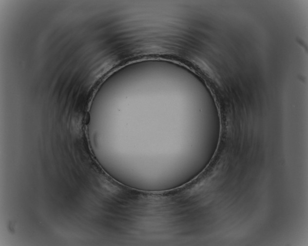 X0000091730873200709071458