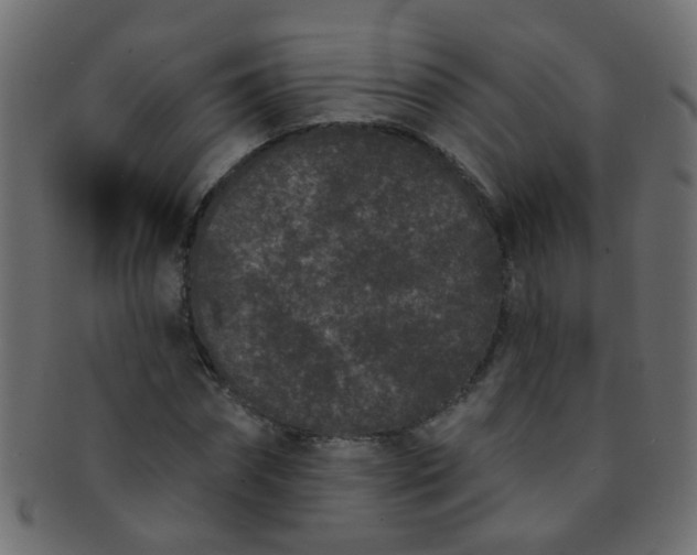 X0000091730874200709071458