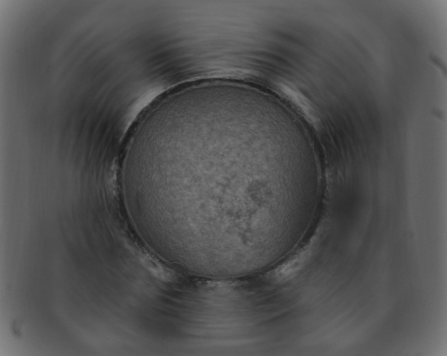 X0000091730875200709071458