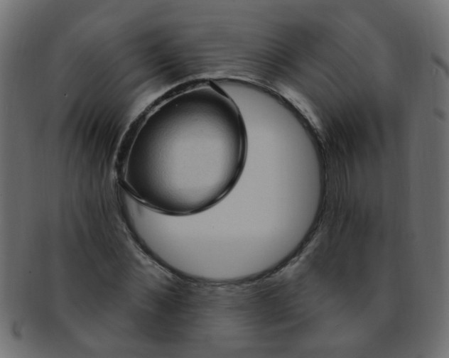 X0000091730876200709071458