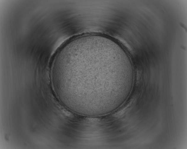 X0000091730878200709071458