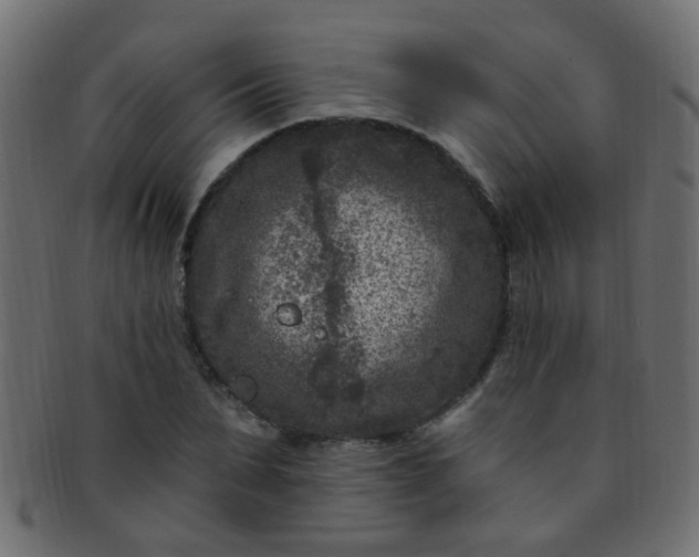 X0000091730879200709071458