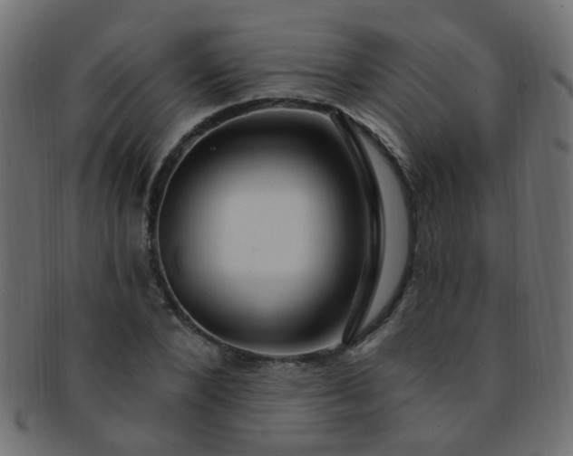 X0000091730880200709071458