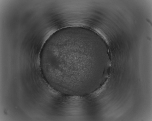 X0000091730883200709071458