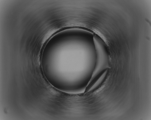 X0000091730885200709071458