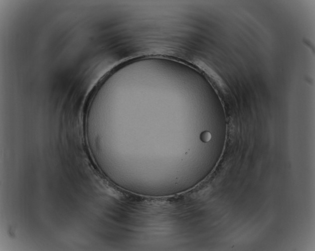 X0000091730886200709071458