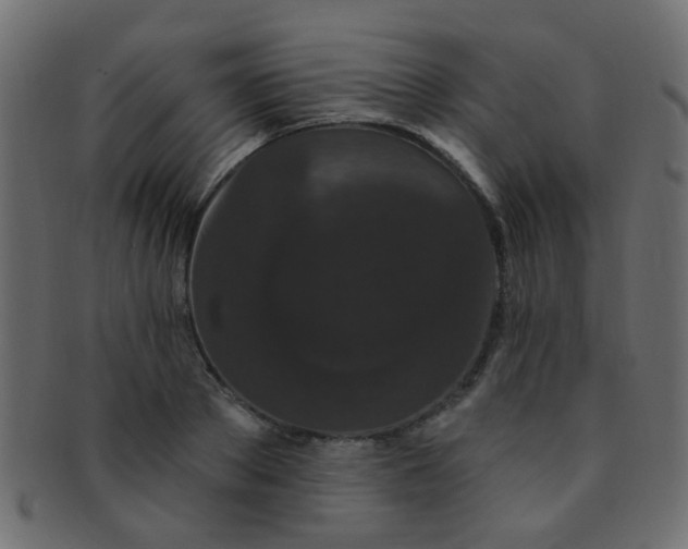 X0000091730889200709071458