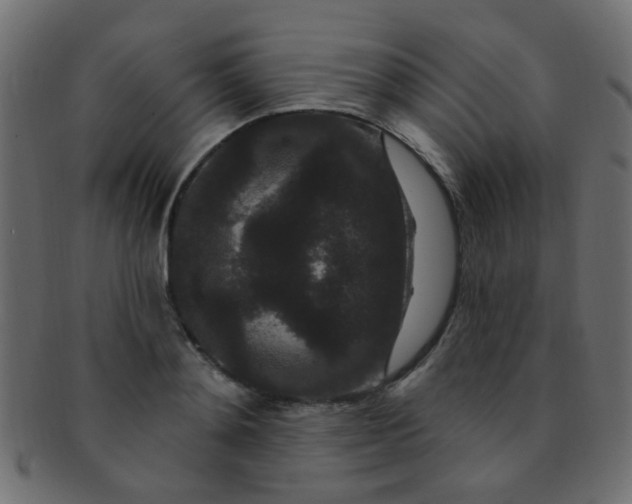 X0000091730892200709071457