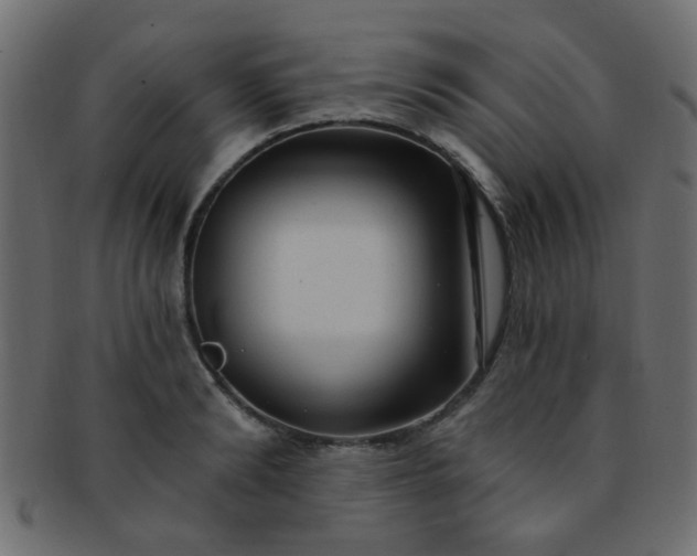 X0000091730894200709071457