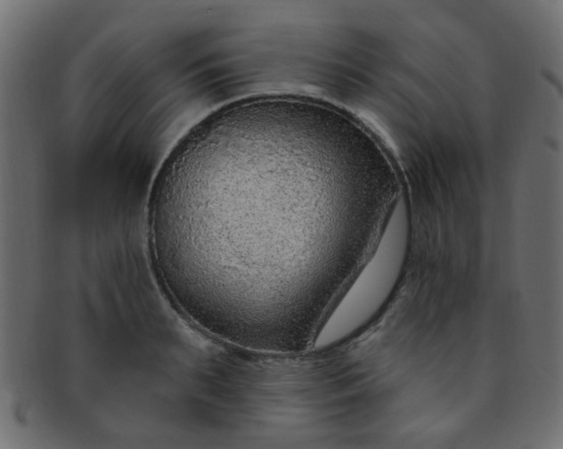 X0000091730895200709071457