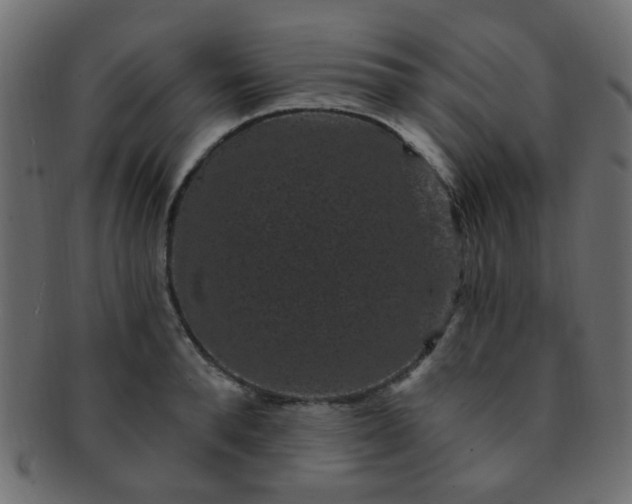 X0000091730896200709071457