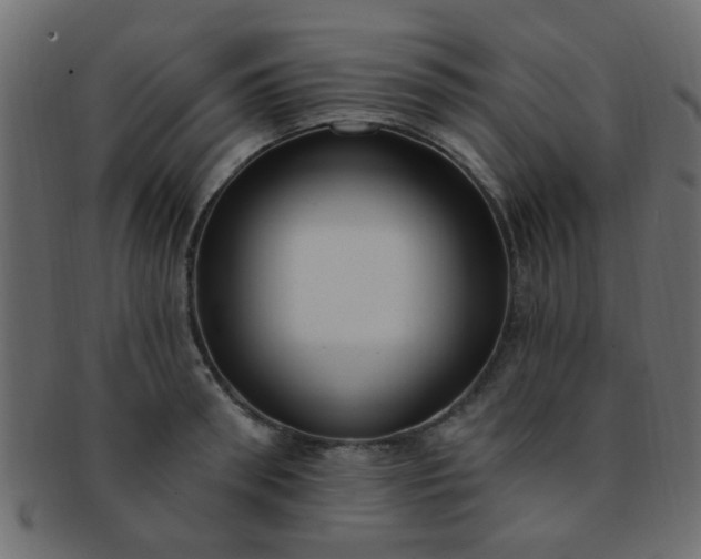 X0000091730898200709071457