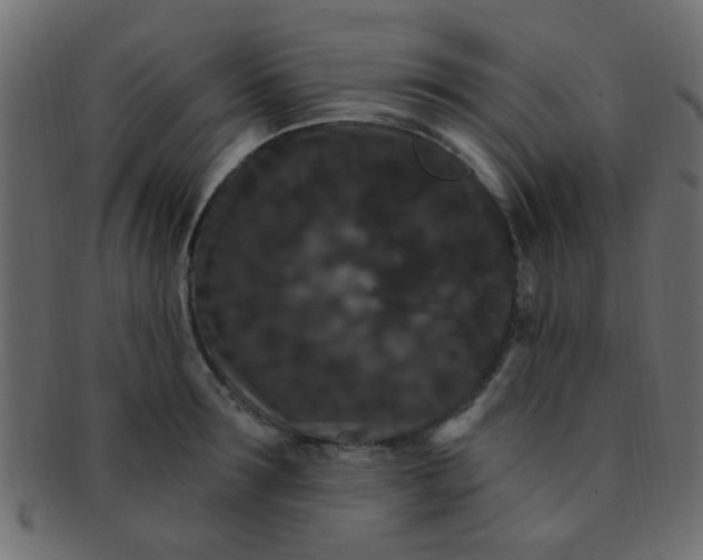 X0000091730899200709071457