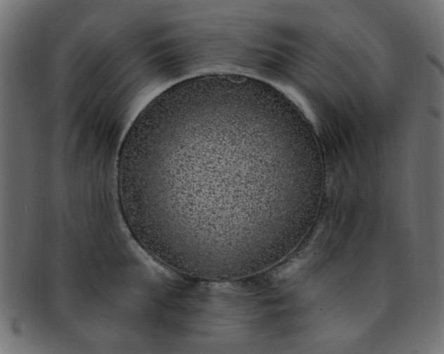 X0000091730903200709071457