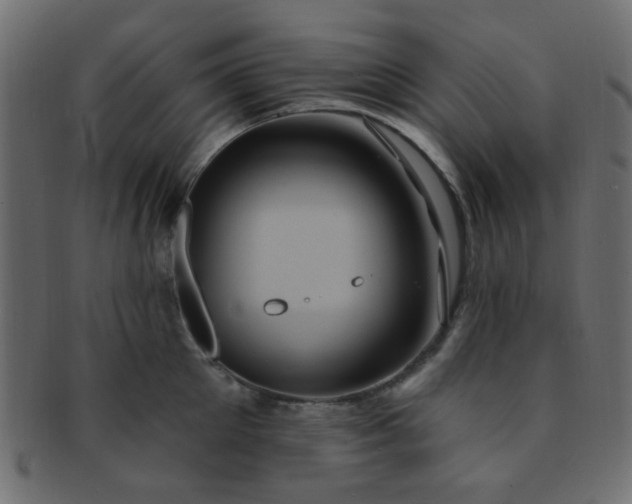 X0000091730905200709071457