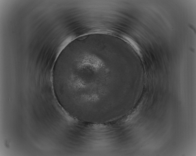 X0000091730907200709071457