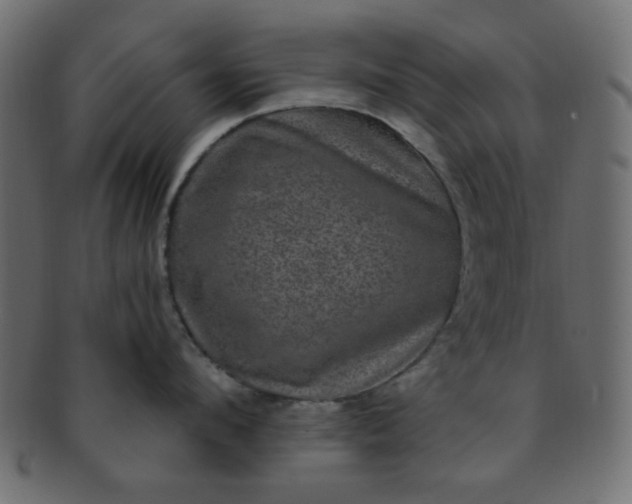 X0000091730912200709071457