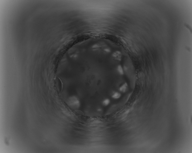 X0000091730913200709071456