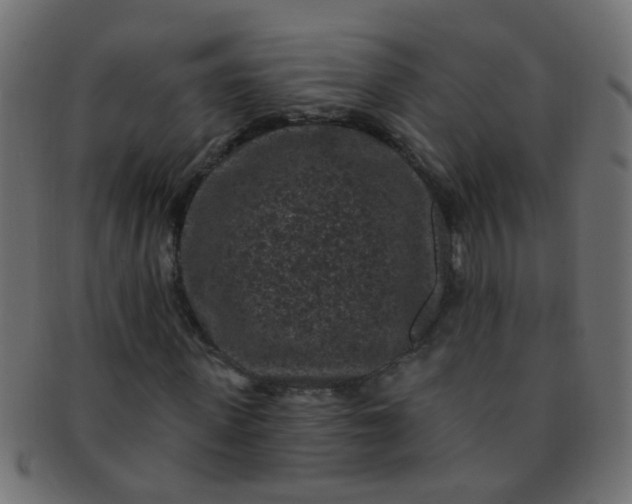 X0000091730915200709071456