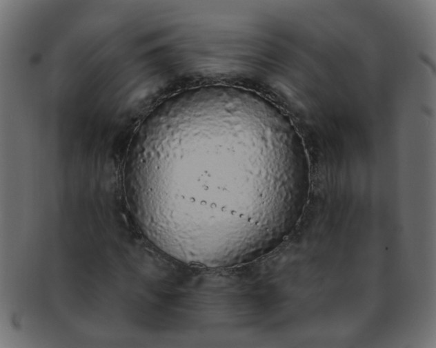 X0000091730917200709071456