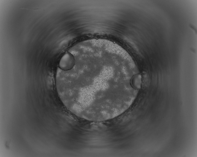 X0000091730918200709071456