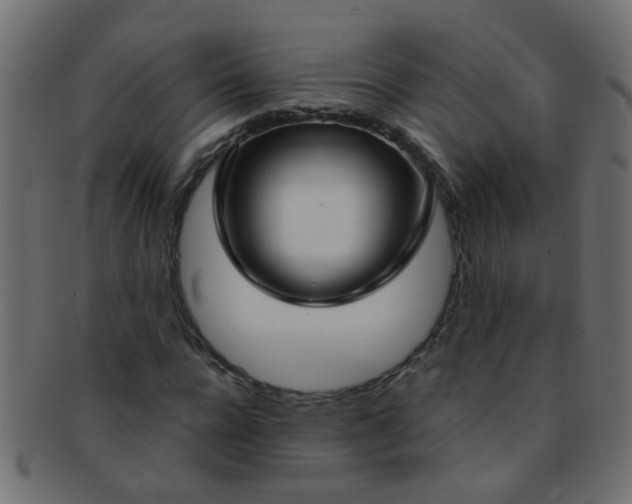 X0000091730920200709071456