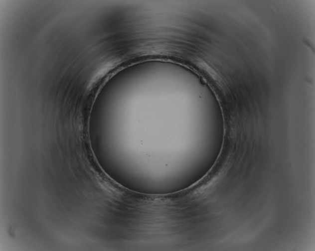 X0000091730922200709071456