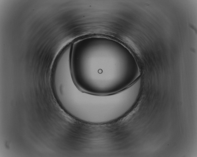 X0000091730924200709071456