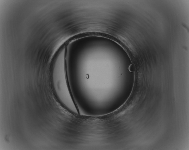 X0000091730926200709071456