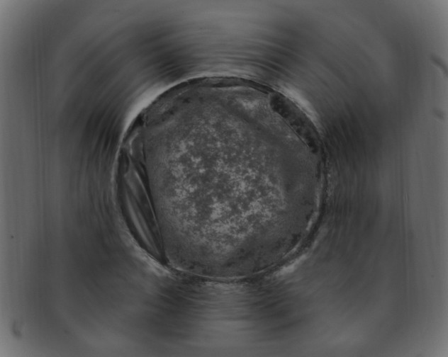 X0000091730928200709071456