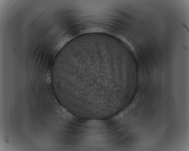 X0000091730929200709071456