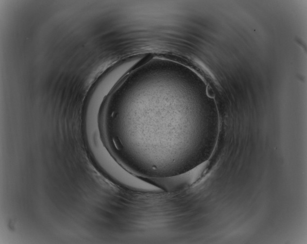 X0000091730930200709071456