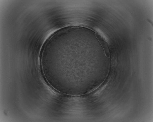 X0000091730932200709071456