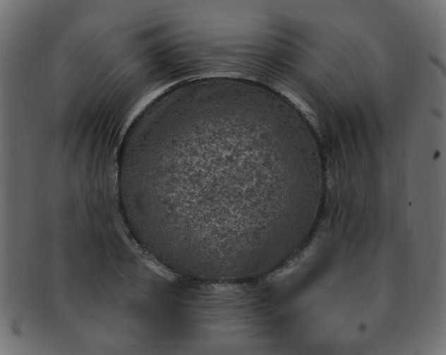 X0000091730933200709071456