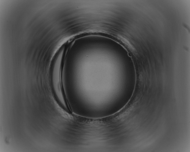 X0000091730934200709071457