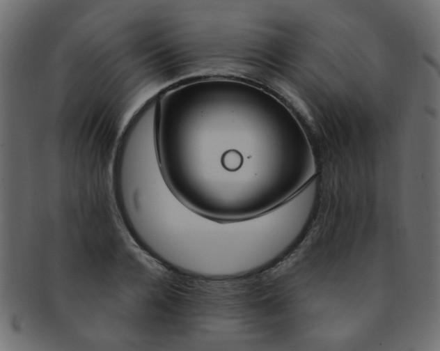 X0000091730936200709071457