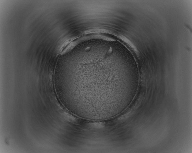 X0000091730937200709071457