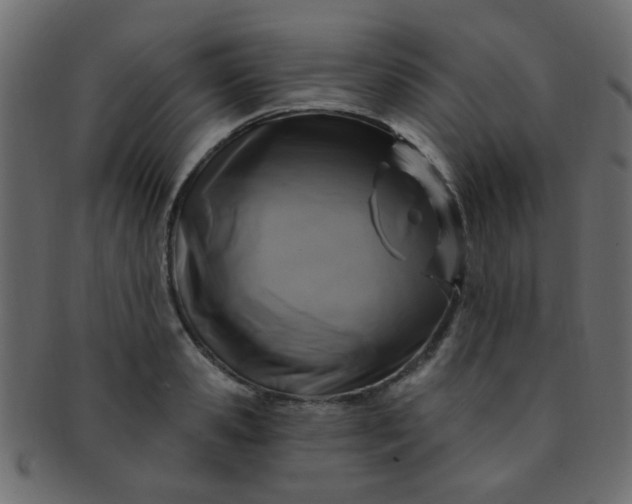 X0000091730941200709071457